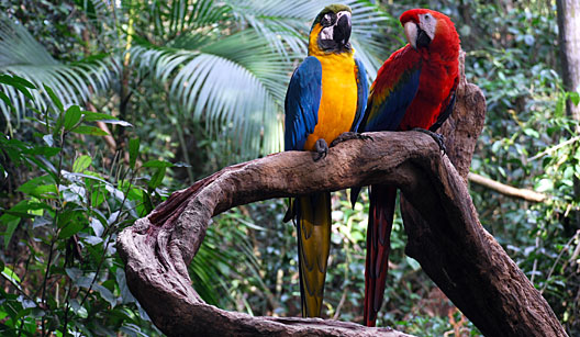 MARKETING HOTELEIRO: ECOTURISMO * CONSERVAÇÃO * BIODIVERSIDADE